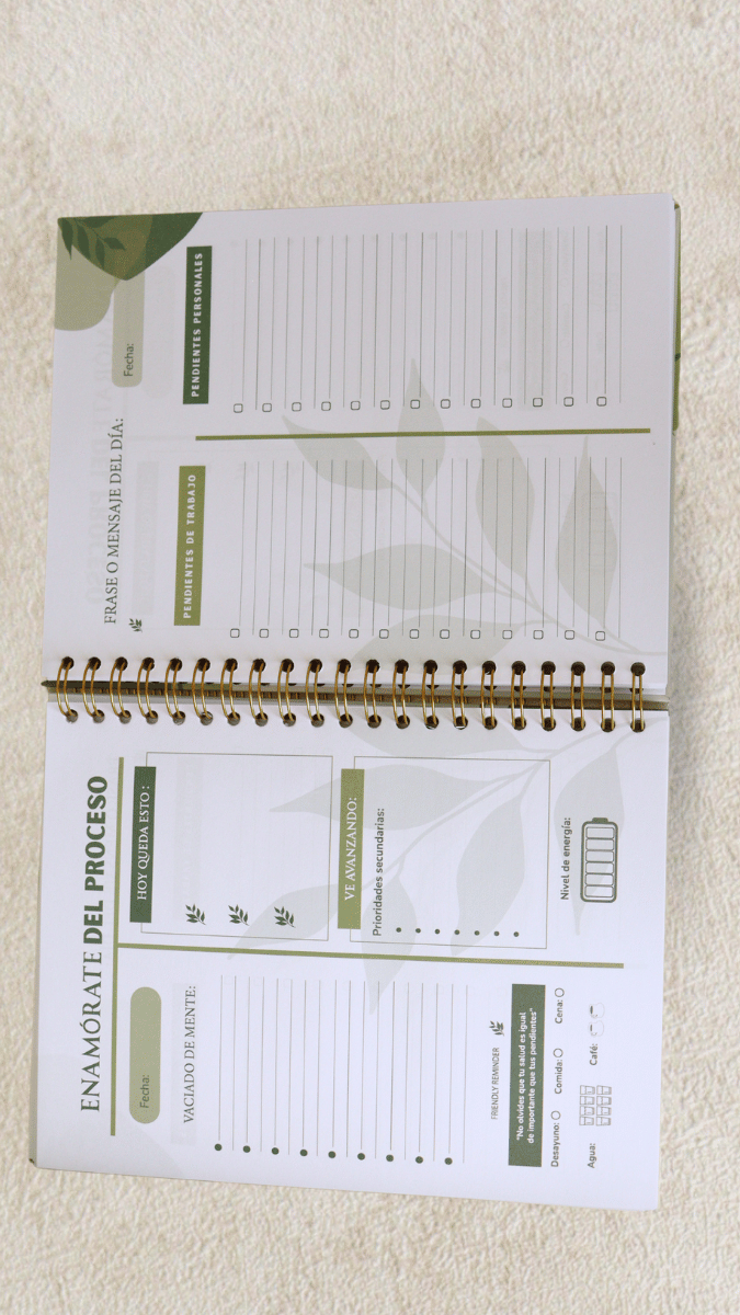 ORGANIZANDO MI DÍA A DÍA (AGENDA ATEMPORAL)